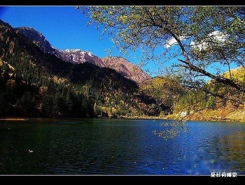 查看照片详细信息 天下民宿