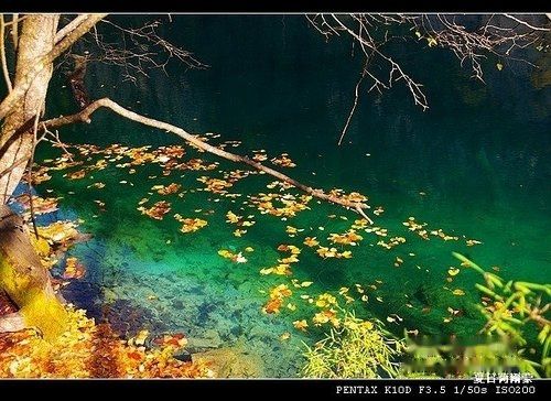 查看照片详细信息 天下民宿