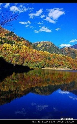 查看照片详细信息 天下民宿