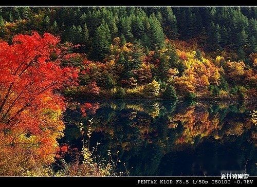 查看照片详细信息 天下民宿