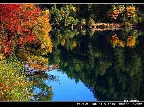 查看照片详细信息 天下民宿