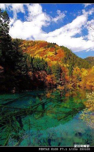 查看照片详细信息 天下民宿