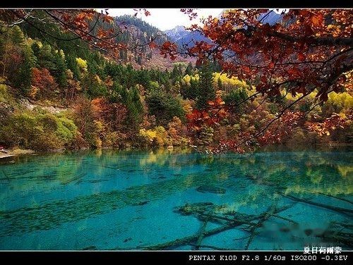 查看照片详细信息 天下民宿