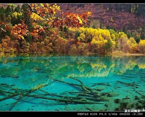 查看照片详细信息 天下民宿