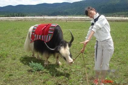 查看照片详细信息 天下民宿