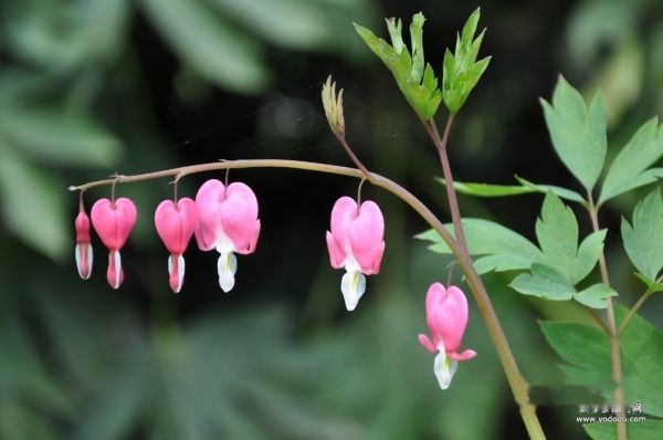 查看照片详细信息 天下民宿