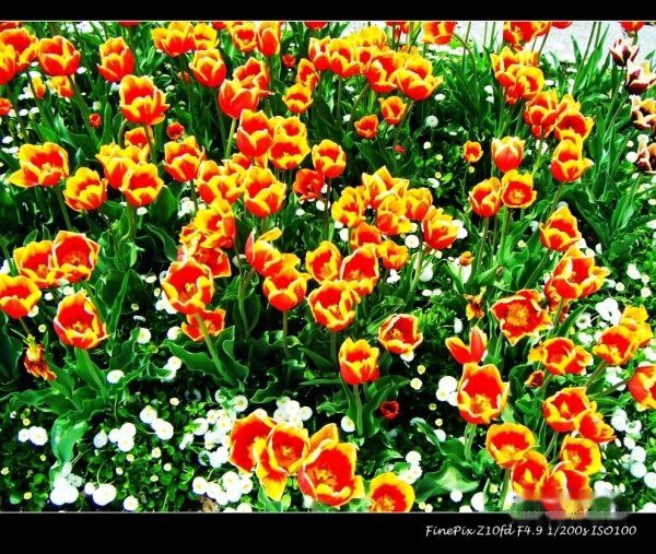 查看照片详细信息 天下民宿