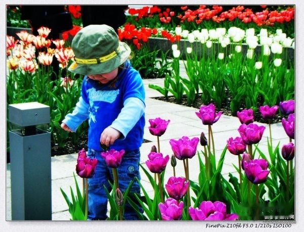 查看照片详细信息 天下民宿