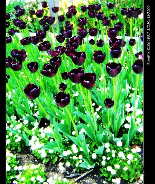 查看照片详细信息 天下民宿