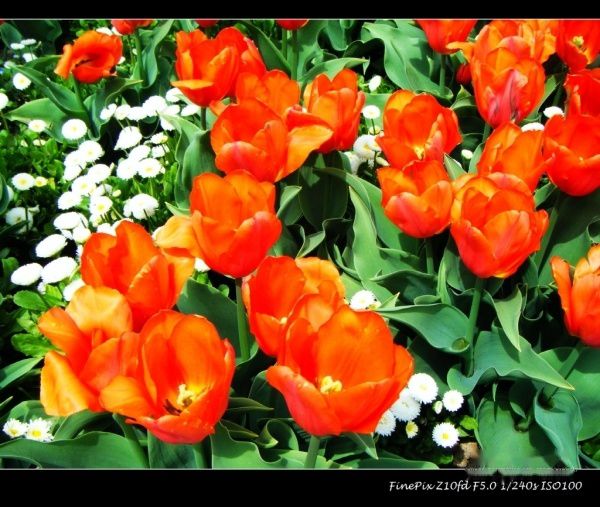 查看照片详细信息 天下民宿