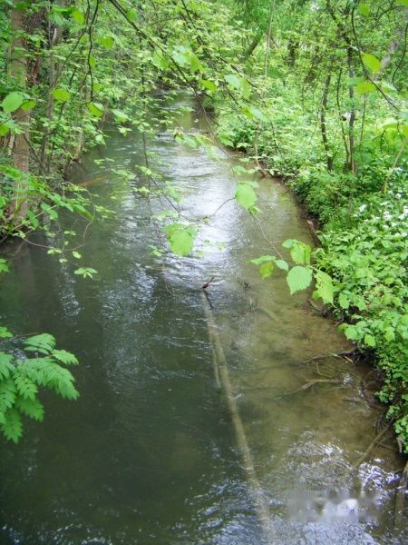 查看照片详细信息 天下民宿