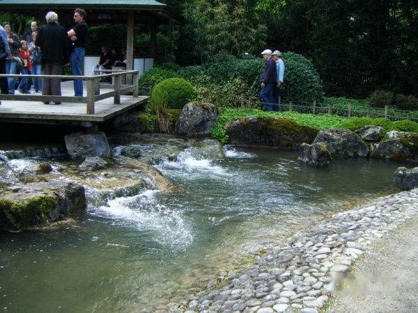 查看照片详细信息 天下民宿