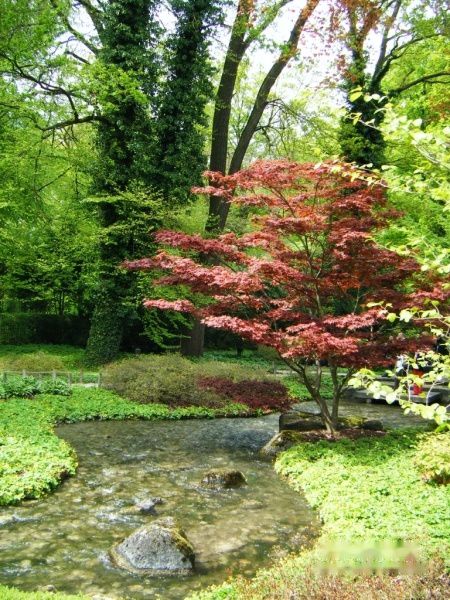 查看照片详细信息 天下民宿
