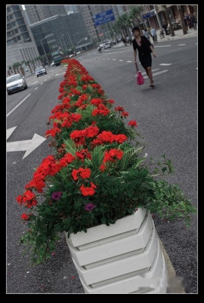 查看照片详细信息 天下民宿