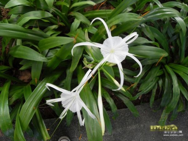 查看照片详细信息 天下民宿