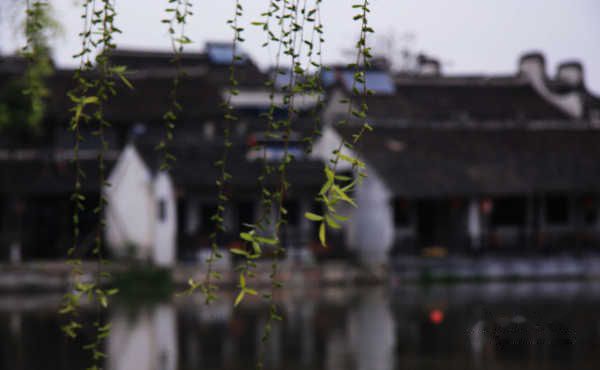 查看照片详细信息 天下民宿