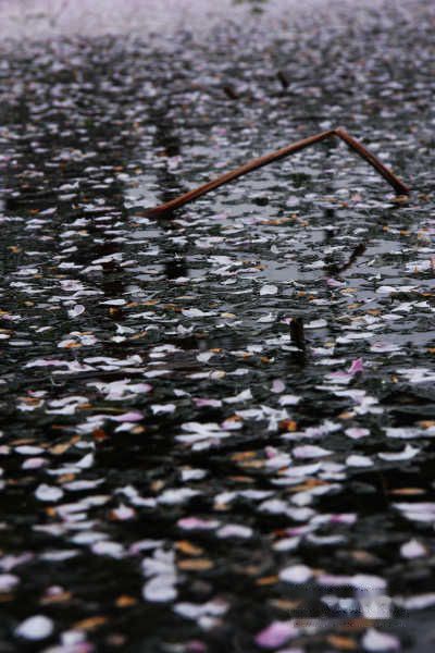 查看照片详细信息 天下民宿