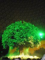 查看照片详细信息 天下民宿