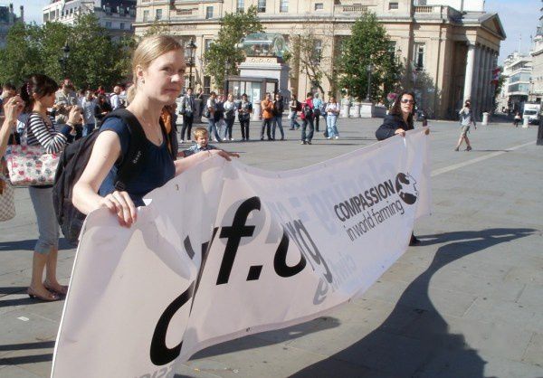 查看照片详细信息 天下民宿