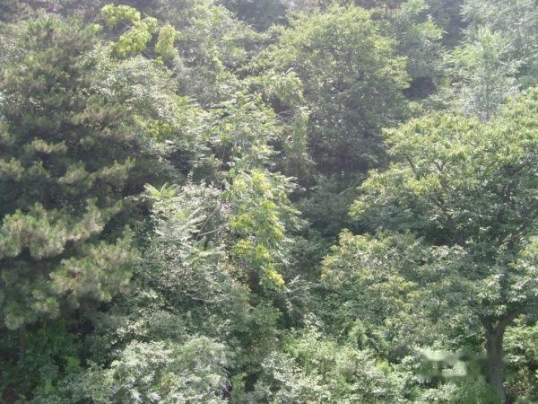 查看照片详细信息 天下民宿