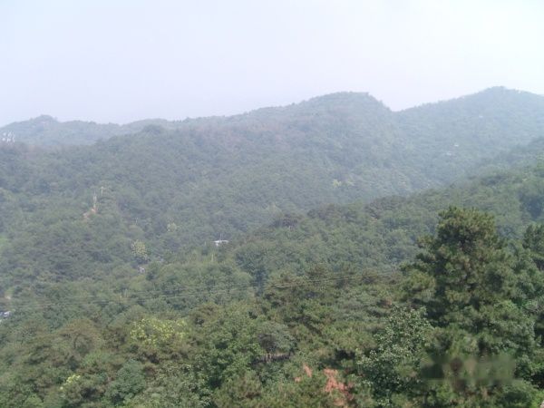 查看照片详细信息 天下民宿