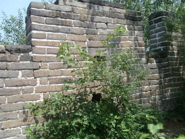 查看照片详细信息 天下民宿