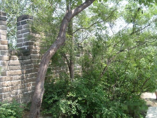 查看照片详细信息 天下民宿