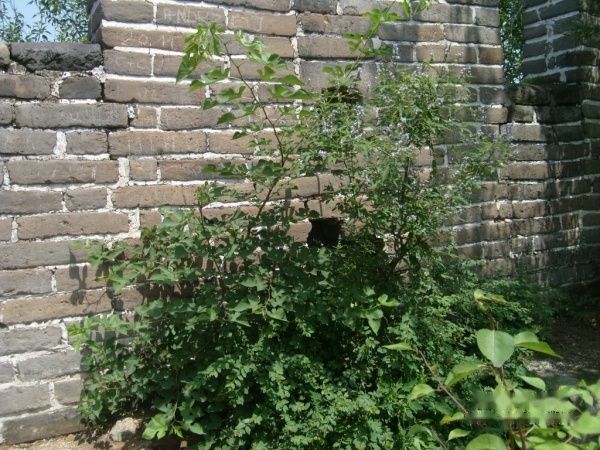 查看照片详细信息 天下民宿