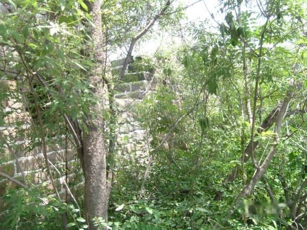 查看照片详细信息 天下民宿