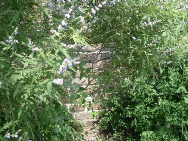 查看照片详细信息 天下民宿