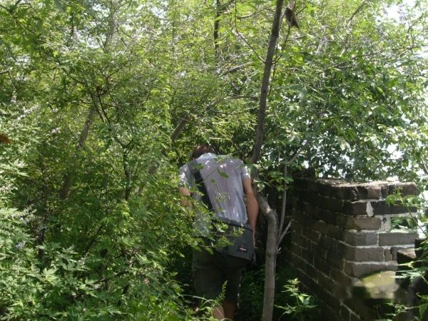 查看照片详细信息 天下民宿