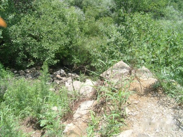 查看照片详细信息 天下民宿