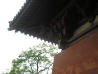 查看照片详细信息 天下民宿