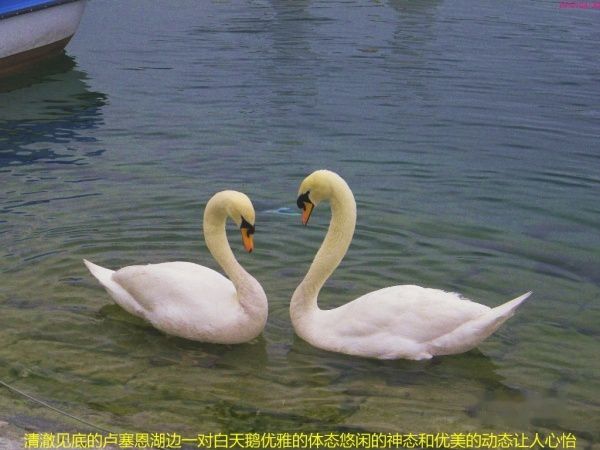 查看照片详细信息 天下民宿