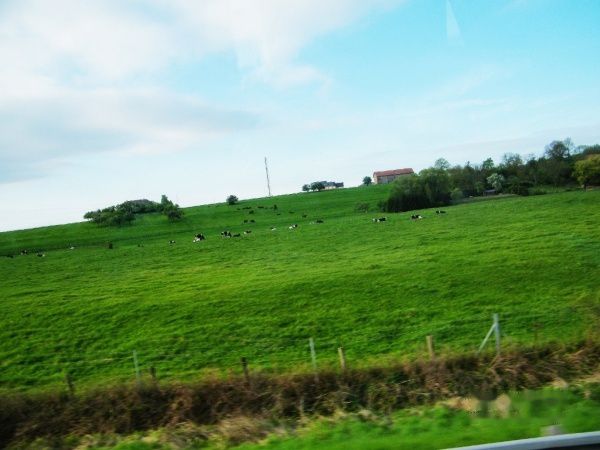 查看照片详细信息 天下民宿