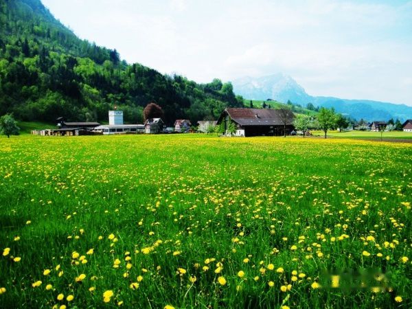 查看照片详细信息 天下民宿
