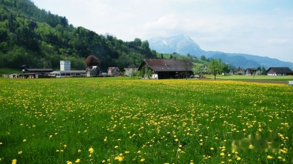 查看照片详细信息 天下民宿