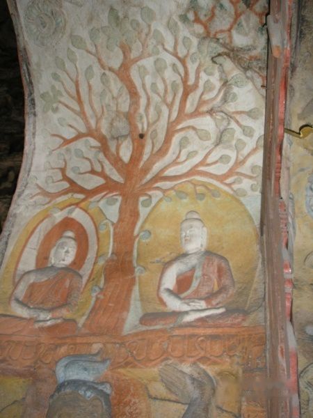 查看照片详细信息 天下民宿