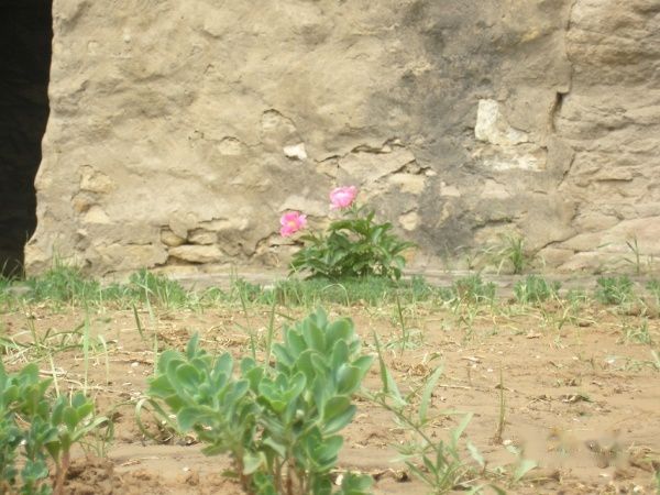 查看照片详细信息 天下民宿