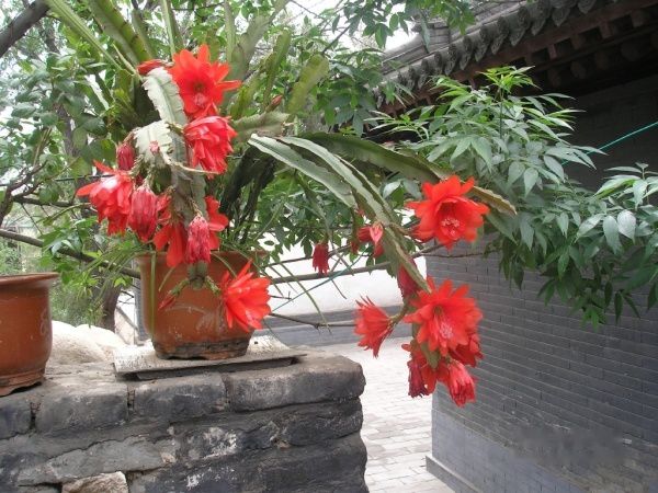 查看照片详细信息 天下民宿