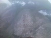 查看照片详细信息 天下民宿