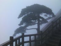 查看照片详细信息 天下民宿