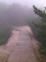 查看照片详细信息 天下民宿