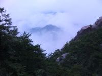 查看照片详细信息 天下民宿