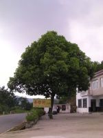 查看照片详细信息 天下民宿