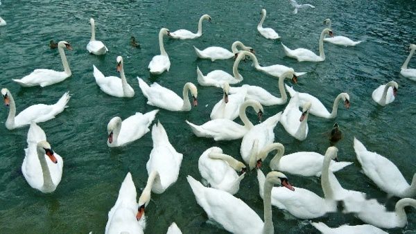 查看照片详细信息 天下民宿