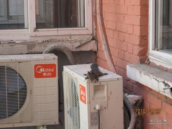 查看照片详细信息 天下民宿