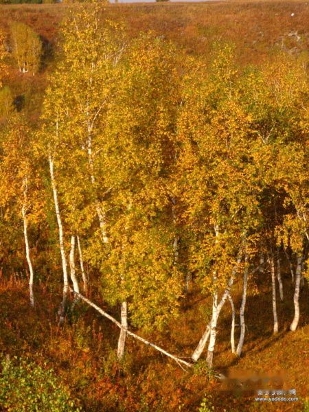 查看照片详细信息 天下民宿