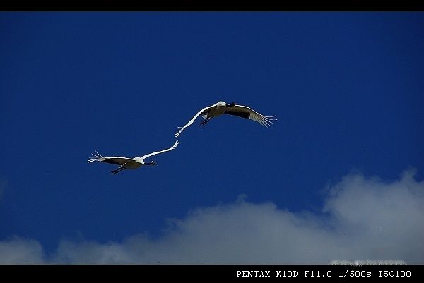 查看照片详细信息 天下民宿