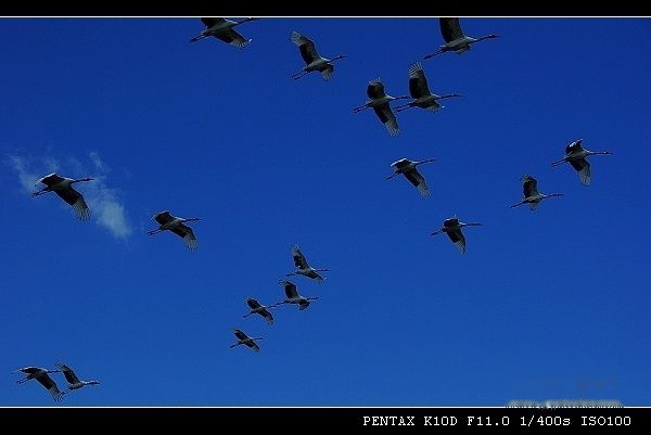 查看照片详细信息 天下民宿